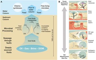 Editorial: Recent Advances in Natural Methane Seep and Gas Hydrate Systems